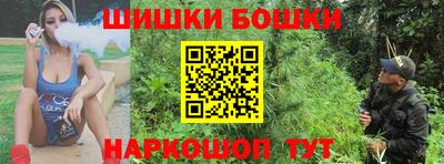 гашик Аргун