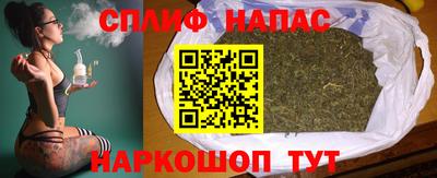 гашик Аргун