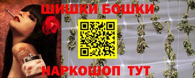 гашик Аргун