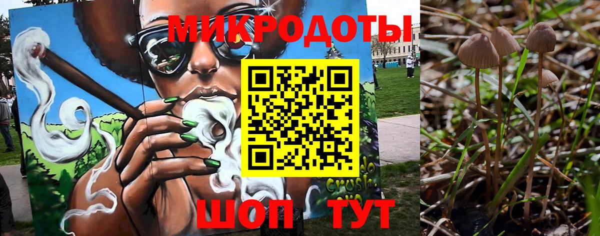 Псилоцибиновые грибы Cubensis Белогорск